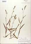 000026604-thumbnail.jpg