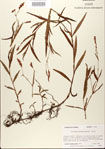 000026605-thumbnail.jpg