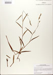 000026606-thumbnail.jpg