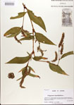 000026609-thumbnail.jpg