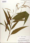 000026610-thumbnail.jpg