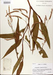 000026611-thumbnail.jpg