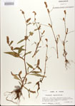 000026612-thumbnail.jpg