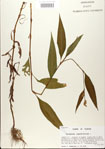 000026613-thumbnail.jpg