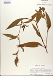 000026614-thumbnail.jpg