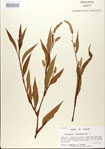 000026615-thumbnail.jpg