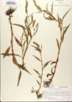 000026616-thumbnail.jpg