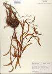 000026618-thumbnail.jpg
