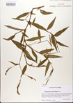 000026639-thumbnail.jpg