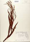 000026641-thumbnail.jpg