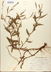 000026642-thumbnail.jpg