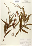 000026643-thumbnail.jpg