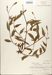 000026644-thumbnail.jpg