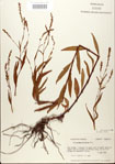 000026645-thumbnail.jpg