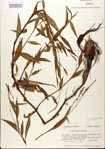 000026646-thumbnail.jpg
