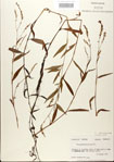 000026647-thumbnail.jpg