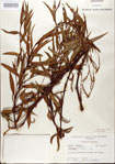 000026648-thumbnail.jpg