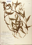 000026649-thumbnail.jpg