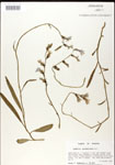 000026678-thumbnail.jpg