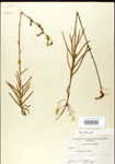 000026679-thumbnail.jpg