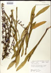 000026680-thumbnail.jpg