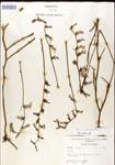 000026681-thumbnail.jpg