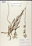 000026682-thumbnail.jpg