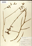 000026683-thumbnail.jpg