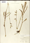 000026684-thumbnail.jpg