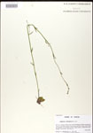 000026685-thumbnail.jpg