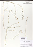 000026686-thumbnail.jpg