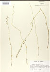 000026687-thumbnail.jpg