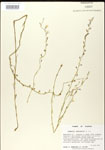 000026688-thumbnail.jpg