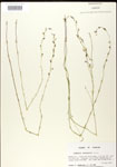 000026689-thumbnail.jpg
