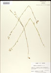 000026690-thumbnail.jpg