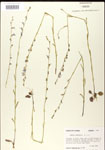 000026691-thumbnail.jpg