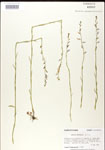 000026692-thumbnail.jpg