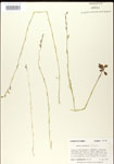 000026693-thumbnail.jpg