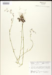 000026694-thumbnail.jpg