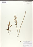 000026696-thumbnail.jpg
