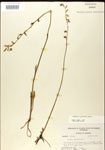 000026698-thumbnail.jpg