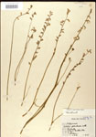 000026699-thumbnail.jpg