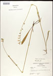 000026700-thumbnail.jpg