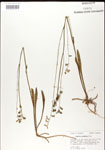 000026701-thumbnail.jpg