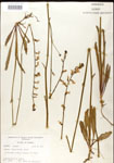 000026702-thumbnail.jpg