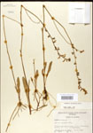 000026703-thumbnail.jpg