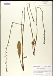 000026704-thumbnail.jpg