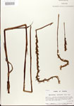 000026714-thumbnail.jpg