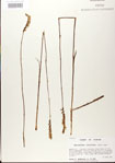 000026715-thumbnail.jpg