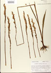 000026716-thumbnail.jpg